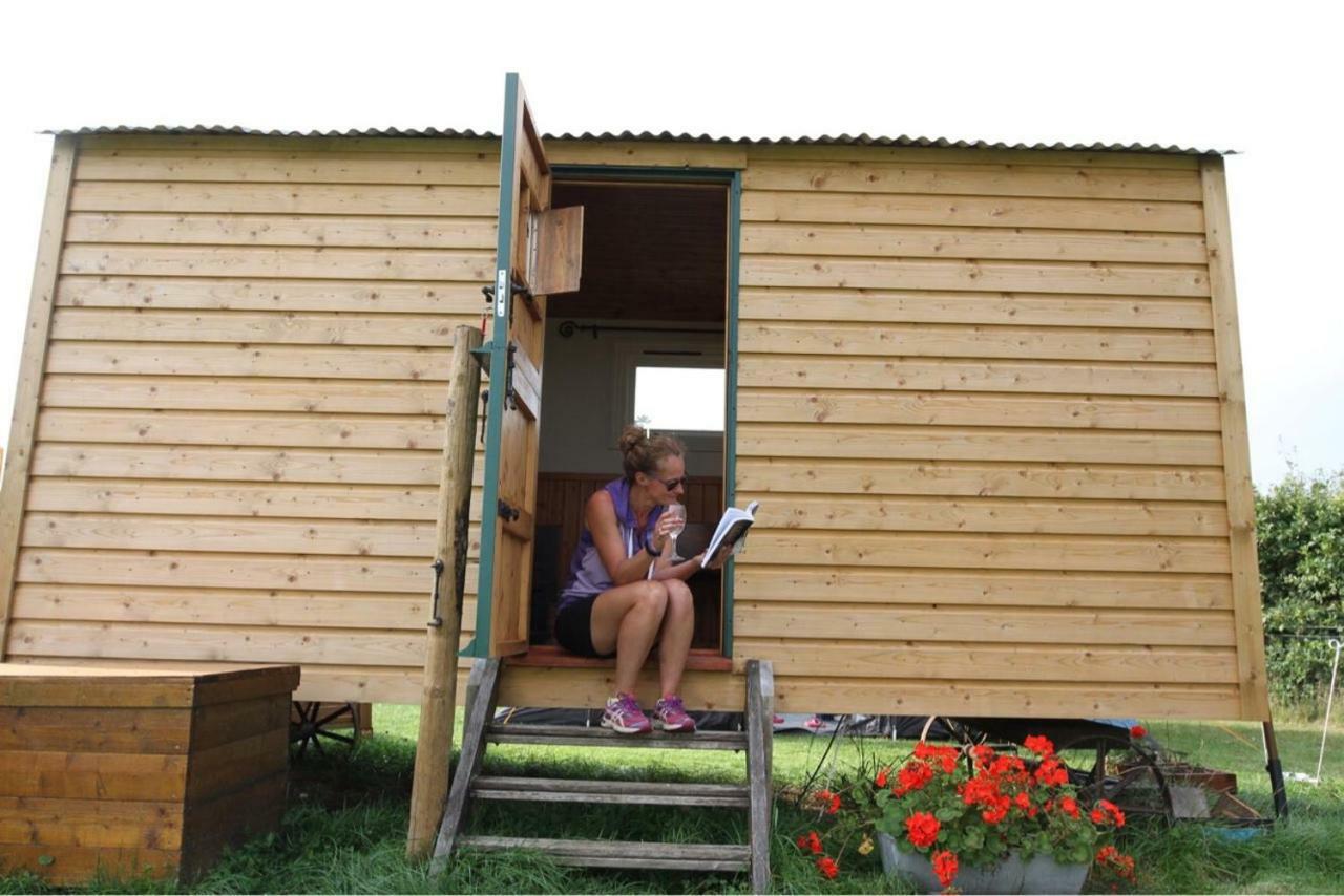 Shepherdshuts-Southeast Hotel Ashford  Eksteriør billede
